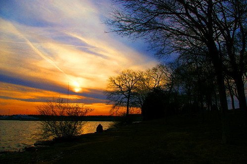 brown trees beside body of water during daytime